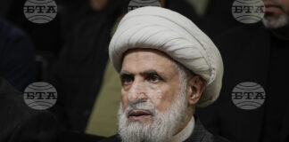 „Хизбула“ избра Наим Касем за свой лидер