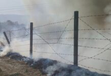 Арестуваха собственик на свинарник за пожара в Катуница