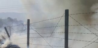 Арестуваха собственик на свинарник за пожара в Катуница