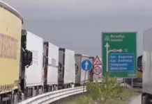 Разбиха мрежа за трафик на кокаин с български камиони