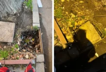 Рут Колева пропаднала в шахта, ще съди „управляващите безделници“ в Столичната община