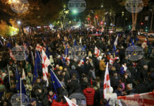 Лидер на опозицията в Грузия е арестуван