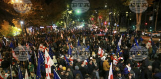 Лидер на опозицията в Грузия е арестуван