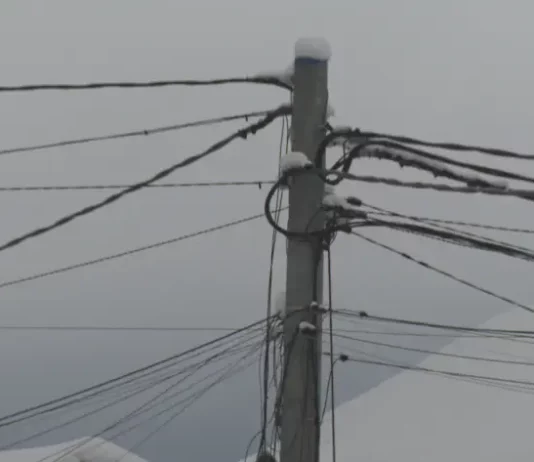 Токов удар убил мъж в Козлодуй, докато опитвал да среже кабел от електрически стълб