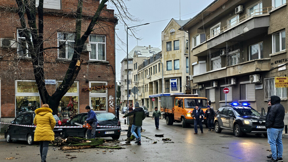 Клон падна върху автомобил в центъра на Русе – до