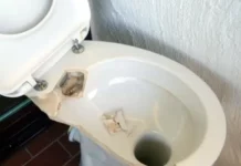 15-годишно момче изпочупило тоалетните на стадиона на „Локо“ Пловдив