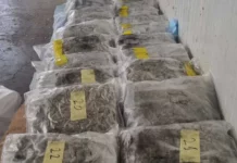 Марихуана за близо 400 000 лева откриха в две коли на Капитан Андреево