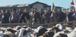 Популистите от МЕЧ, ИТН и „Величие“ яхнаха „протеста“ на животновъдите във Велинград. Вече се скараха за пари