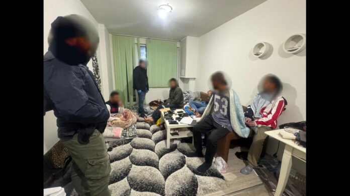 d43b4098c728d3639de7b7578bb91a4c_1733413697