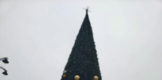 Имаме най-опасната и абсурдна елха в София, обвита с мушама