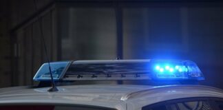 Застреляха полицай по време на лов край Видин