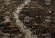 Най-малко 10 са вече загиналите при пожарите в Калифорния, над 180 000 души получиха нареждане да се евакуират