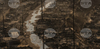 Най-малко 10 са вече загиналите при пожарите в Калифорния, над 180 000 души получиха нареждане да се евакуират