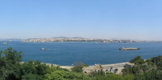 Затвориха Босфора, издирват брат и сестра, паднали в морето преди месец