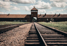 Днес почитаме жертвите на Холокоста