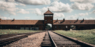 Днес почитаме жертвите на Холокоста