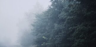 Мъглата в София остава до събота