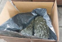 Наркотрафиканти са арестувани при съвместна операция на гръцки и български полицаи