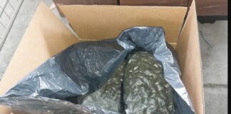 Митничари в София спипаха марихуана за близо 6 млн. лв. в пратка от САЩ