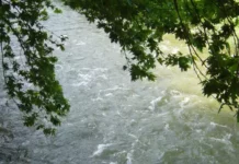 Откриха тяло на жена в река Язо в Разлог