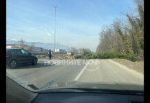 Дърво падна върху кола на „Цариградско шосе“ в София, има пострадал