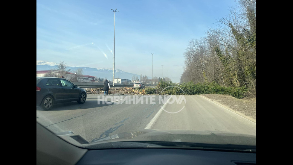 Дърво падна върху кола на Цариградско шосе в София В