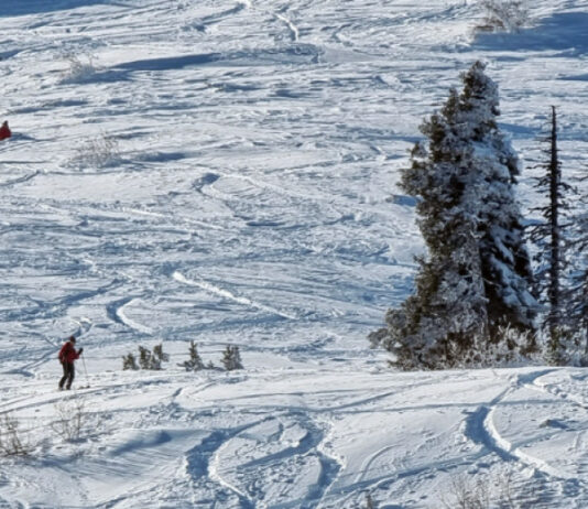 Добри условия за ски в курортите ни днес