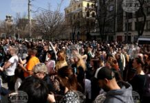 Стотици се събраха на протест в София срещу насилието над животни