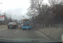 Дърво се стовари върху движеща се кола в столичния квартал „Лозенец“ (Видео)