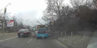 Дърво се стовари върху движеща се кола в столичния квартал „Лозенец“ (Видео)