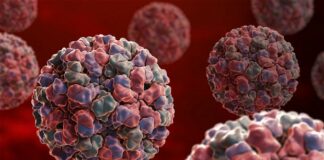 Двоен ръст на норовирусите в страната