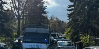 Полицията намерила седем оръжия и автомат „Калашников“ в Сарая на Доган