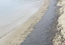 Частично бедствено положение във Варна