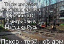 Ти си копейка. Не се мъчи. Живей живота си. Емигрирай в Матушка Русь