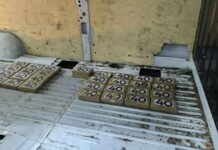 Граничари и митничари задържаха 34 кг кокаин в камион на Дунав-мост при Видин