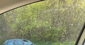 Полицай направи обратен завой край Търново, четирима са ранени