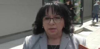 Теменужка Петкова: Еврото трябва да бъде въведено плавно