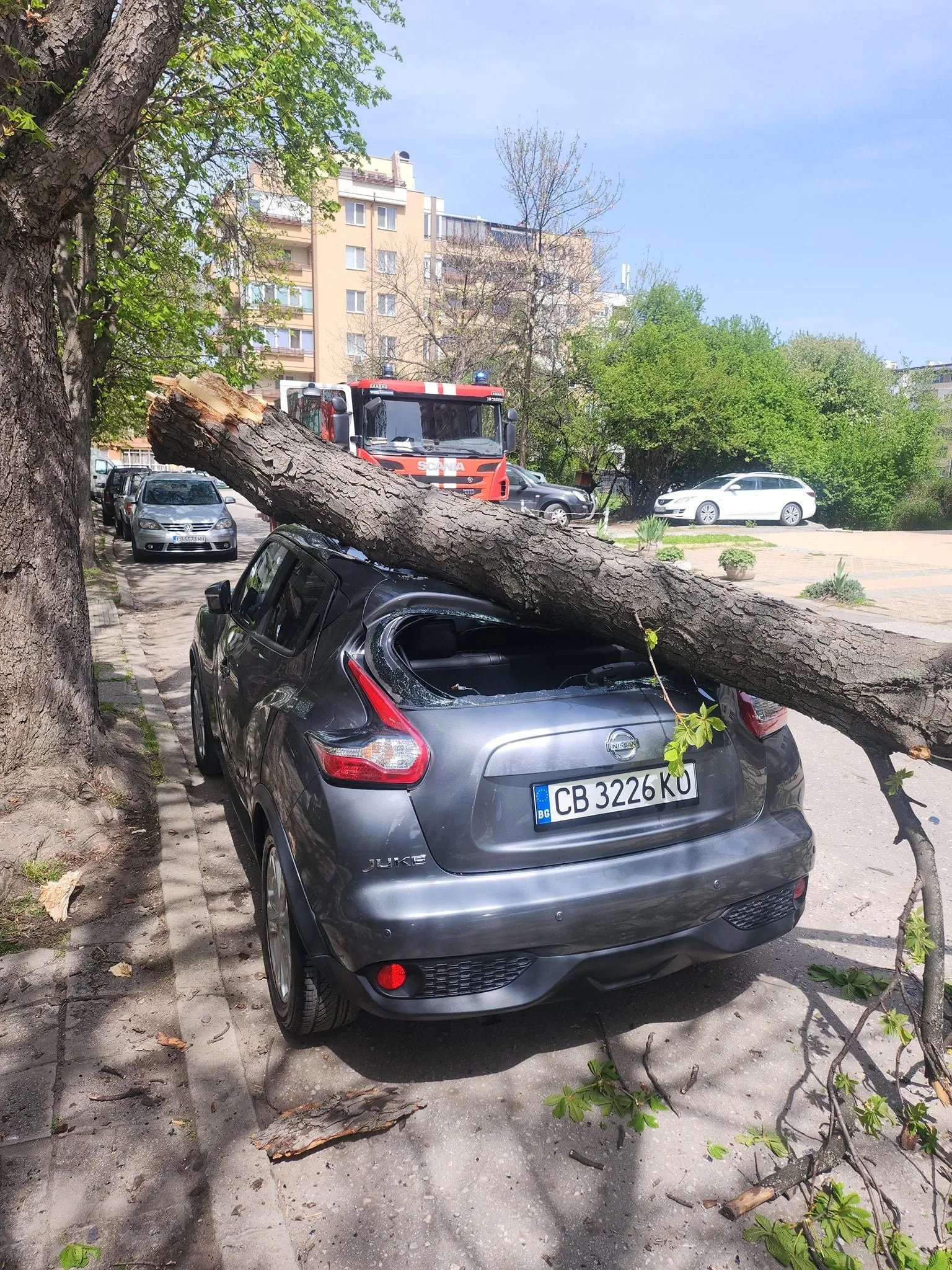 От снимки във фейсбук групата Катастрофи в София става ясно