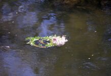 Близо 340 хил. души в България празнуват имен ден на Цветница