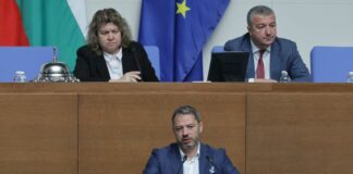 Делян Добрев: С договора с „Боташ“ България плаща репарации на Турция, без да е водила война