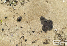 Топчета мазут изплували на плажа на „Каваците“