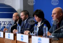 Диана Русинова поканена да оглави АПИ със SMS, тя приема