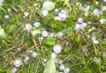 Обявиха частично бедствено положение в три новозагорски села след погрома от градушка