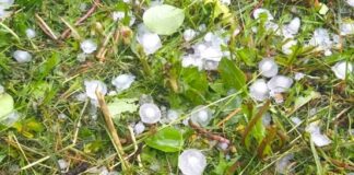 Обявиха частично бедствено положение в три новозагорски села след погрома от градушка