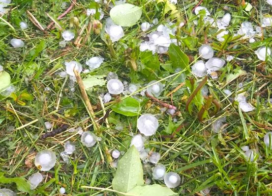 Частично бедствено положение за селата Бял кладенец Пет могили и