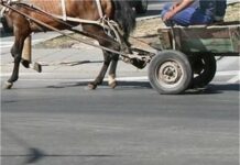 Деца с каруца блъснаха възрастен мъж, с опасност за живота е
