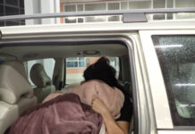 Гранични полицаи задържаха на Лесово датчанин, превозвал две тайландки на задната седалка