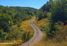 Откриха мъртъв мъж в планината Люлин