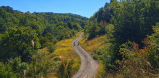 Откриха мъртъв мъж в планината Люлин