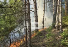 Голям пожар гори край Струмяни